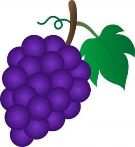 School Meal Planning: grapes_purple-1